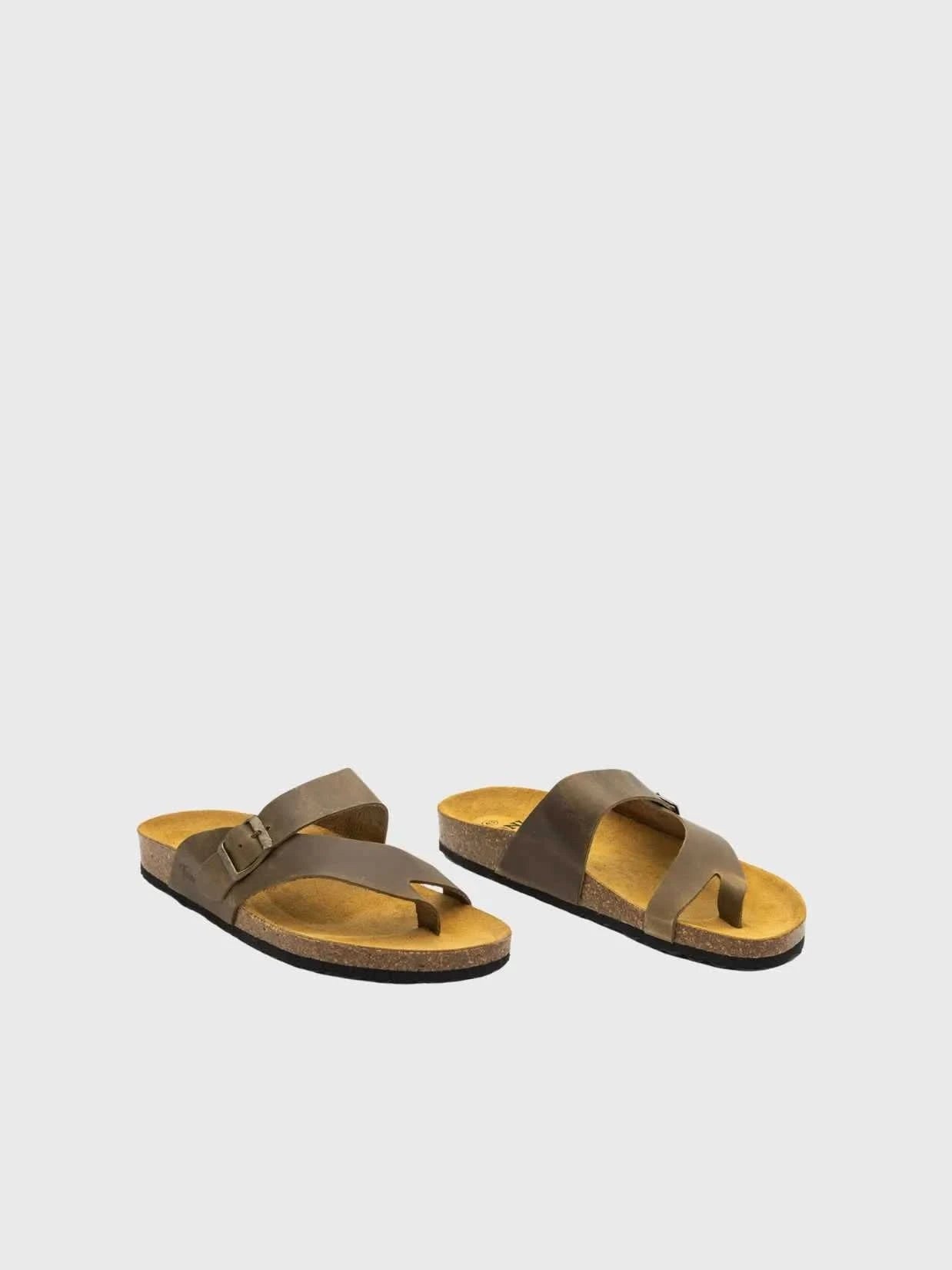Colour_Khaki(Khaki) | Toni Pons Graz-PE