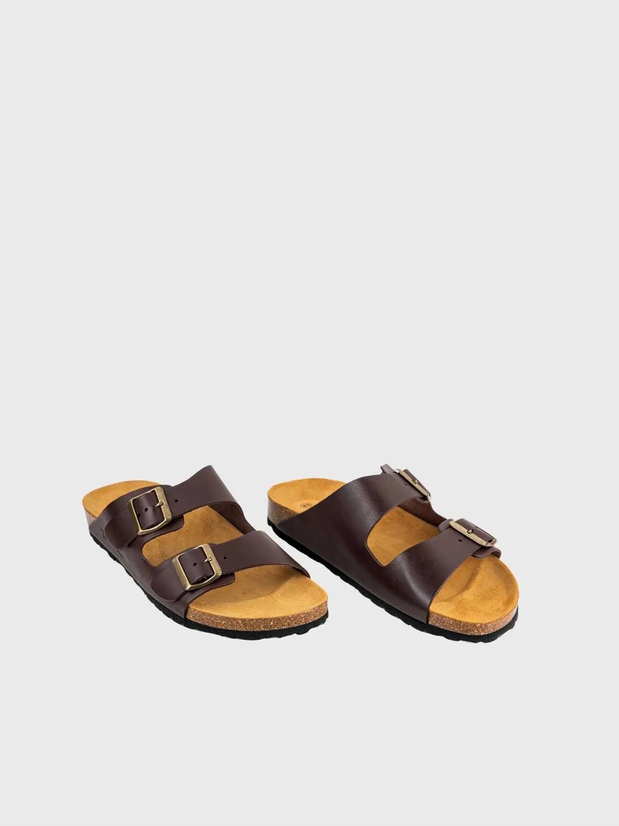Colour_Brown(Marro) | Toni Pons Ger-VQ