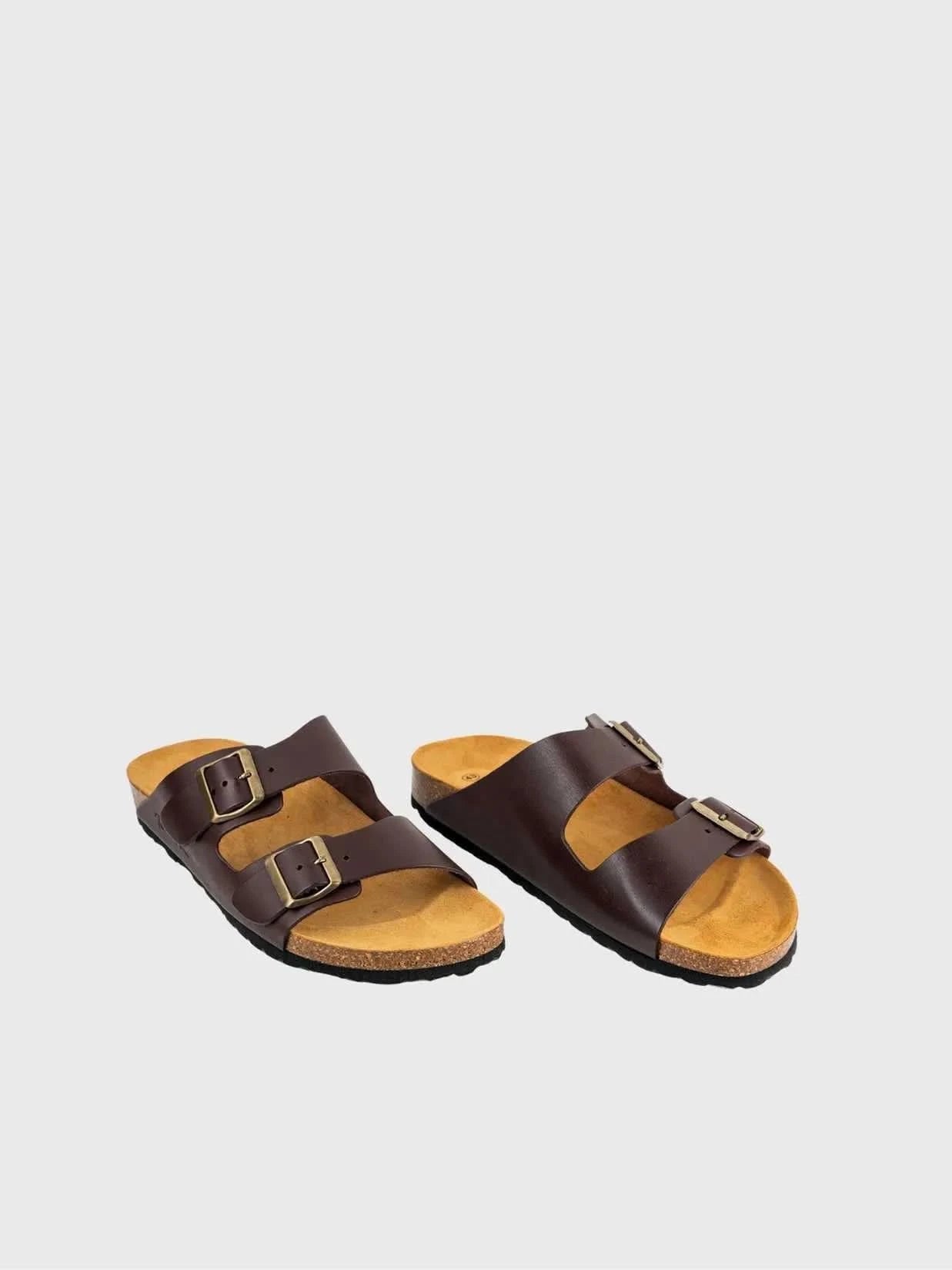Colour_Brown(Marro) | Toni Pons Ger-VQ