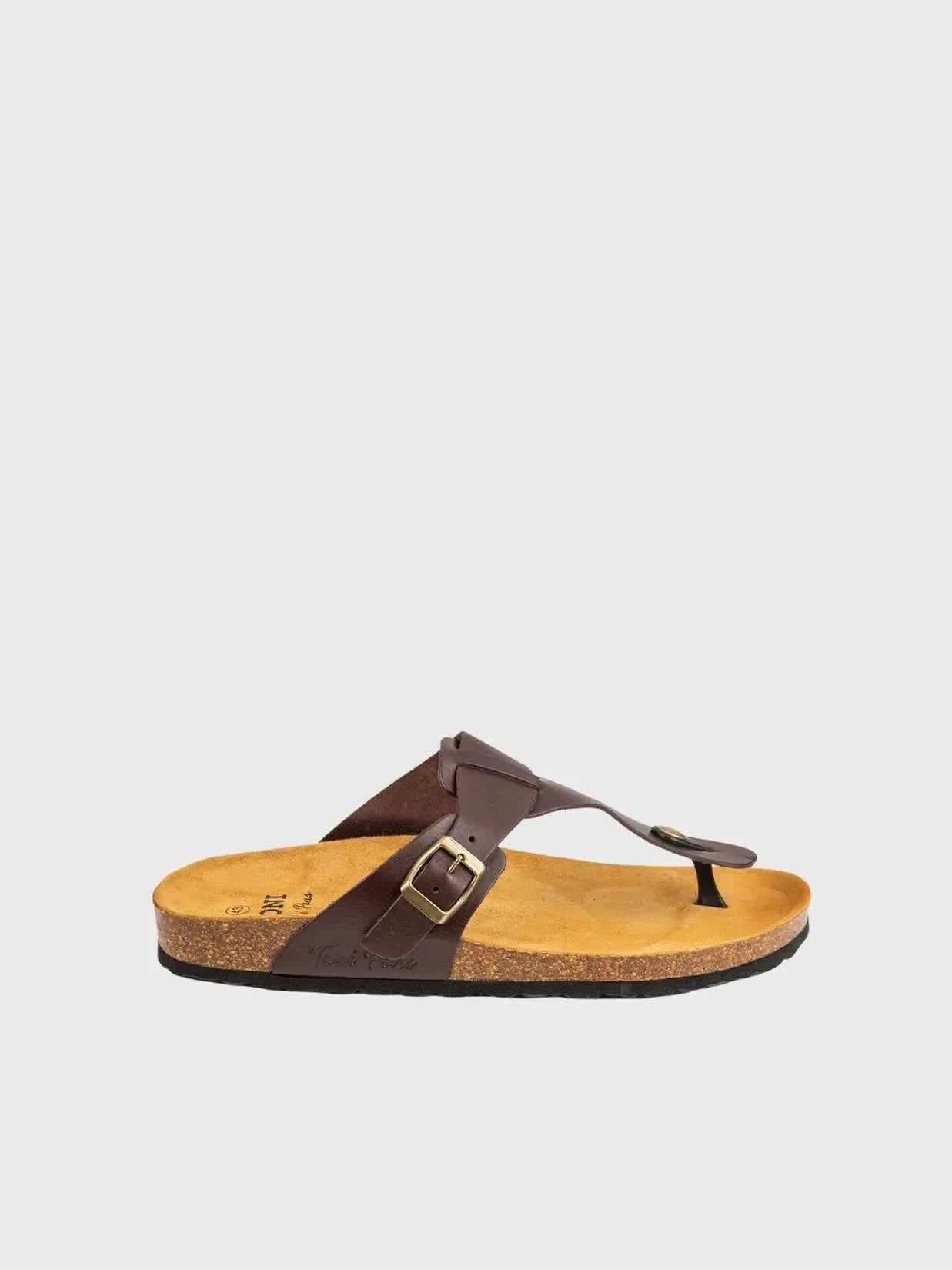 Colour_Brown(Marro) | Toni Pons Gil-VQ