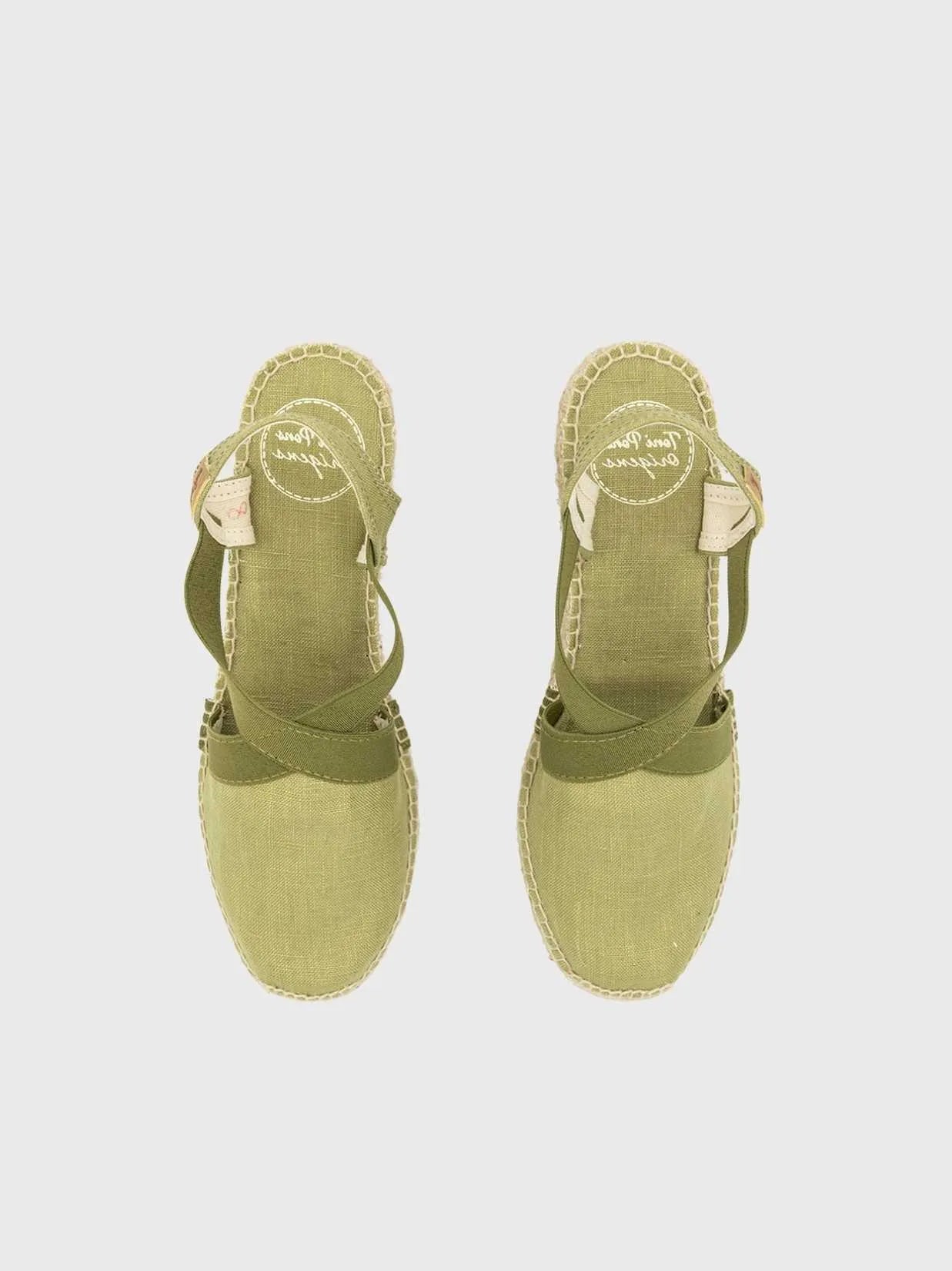 Colour_Olive(Oliva) | Toni Pons Ter