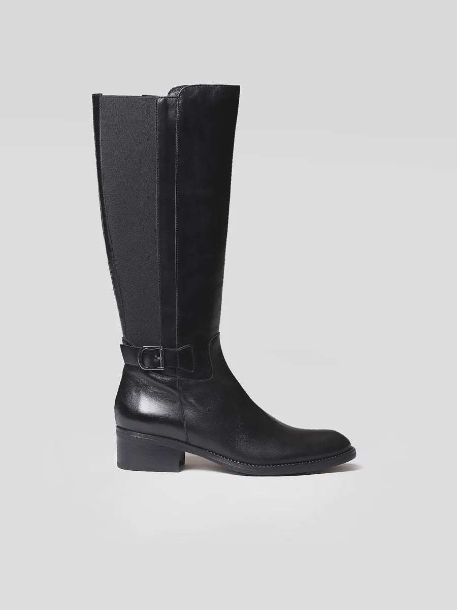 Colour_Black(Negre) | Toni Pons Tacoma-P